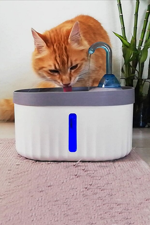 JollyJolly Işıklı Ultra Sessiz Otomatik Pet Su Çeşmesi